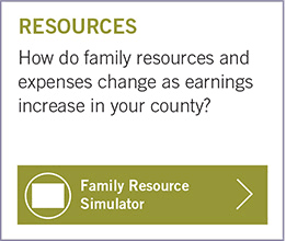 Family Resource Simulator